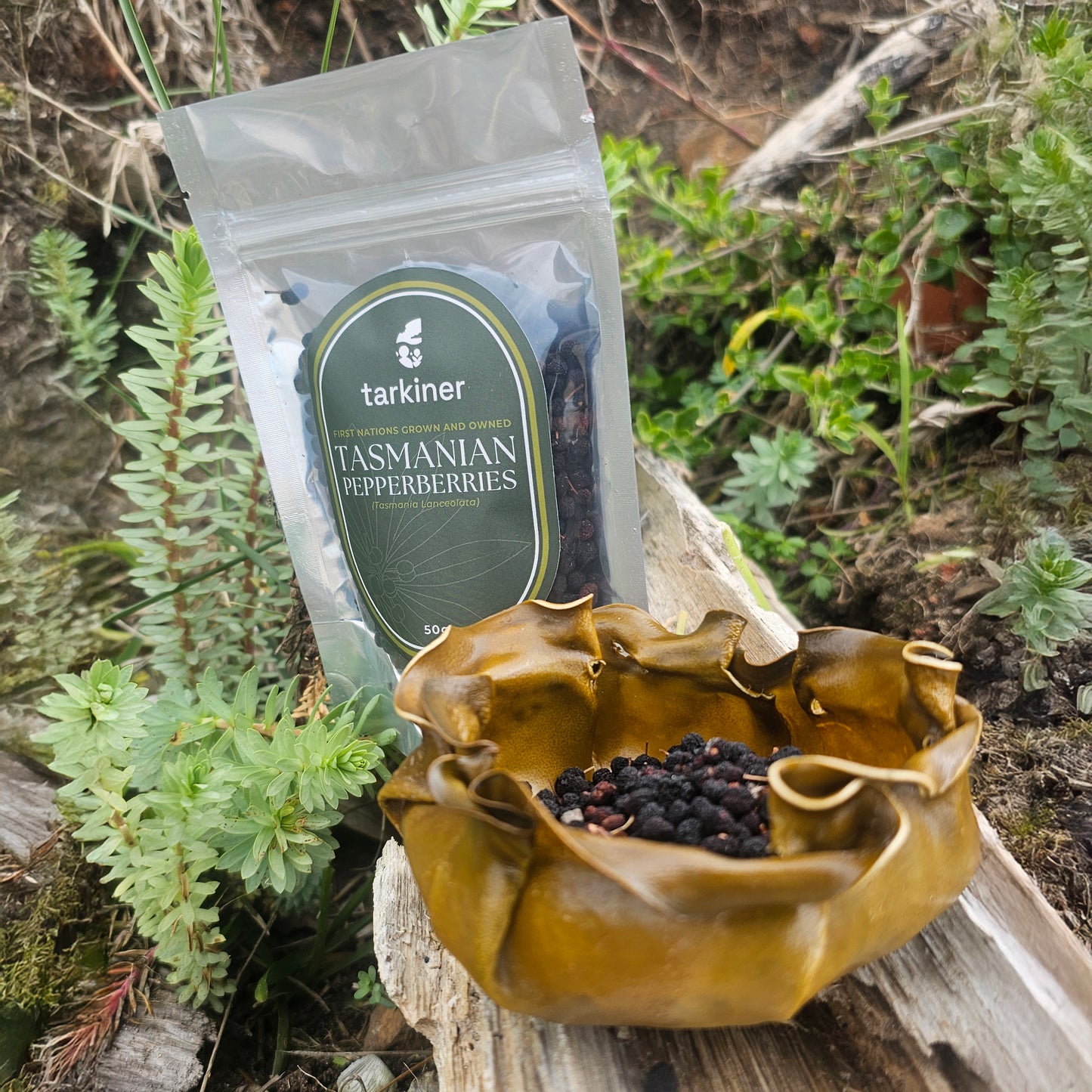 Northwest Tasmanian Native Pepperberries (50g)