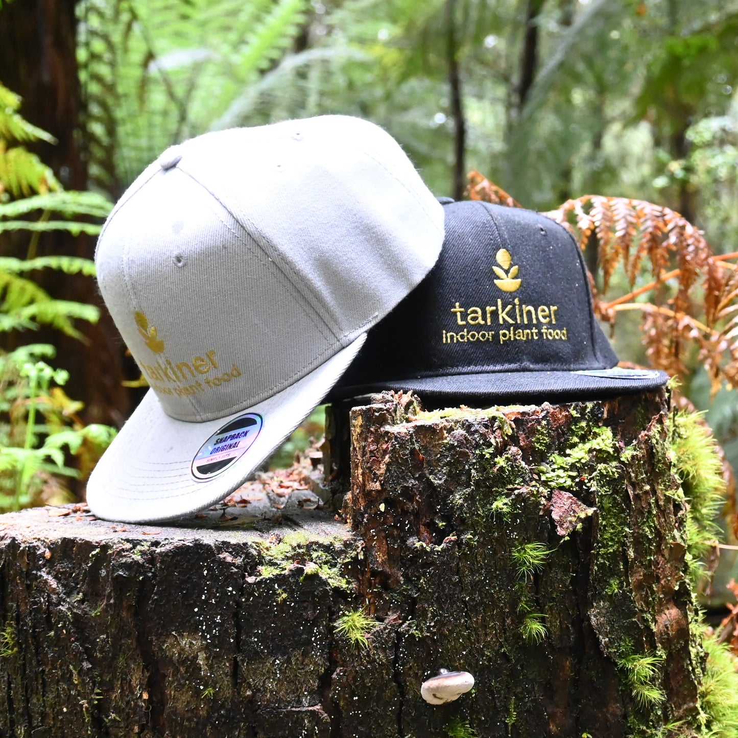 tarkiner flat peak caps