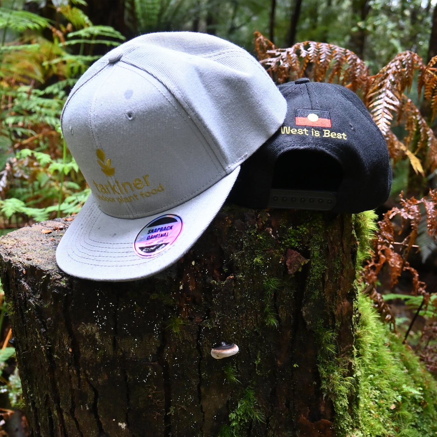 tarkiner flat peak caps