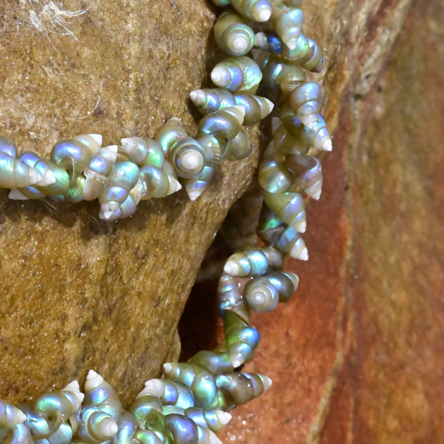 Double Strand Maireener Necklace